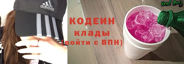 ПСИЛОЦИБИНОВЫЕ ГРИБЫ Горно-Алтайск