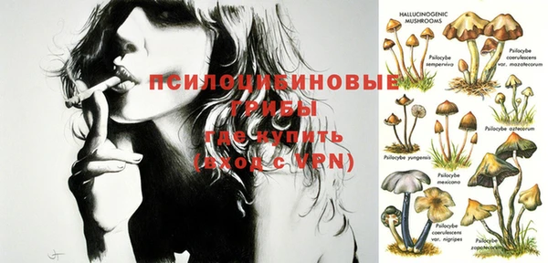 ПСИЛОЦИБИНОВЫЕ ГРИБЫ Горно-Алтайск