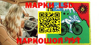 спиды Донской