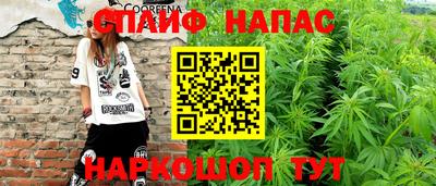 ешки Дубна