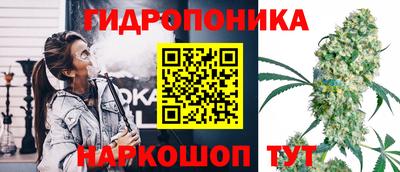 бошки Донецк