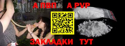 спиды Донской
