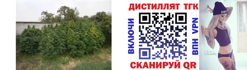 ТГК Wax  Москва 