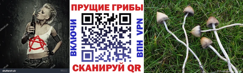 Псилоцибиновые грибы ЛСД  Москва 