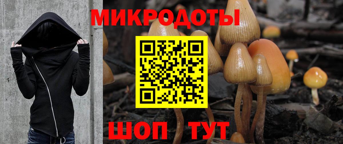 Галлюциногенные грибы Cubensis  Вход с VPN  как найти закладки  Москва  Псилоцибиновые грибы прущие грибы 
