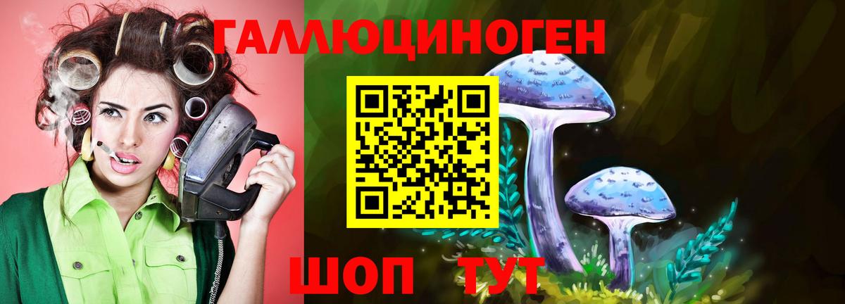 Галлюциногенные грибы GOLDEN TEACHER Москва